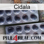 Cidala 31